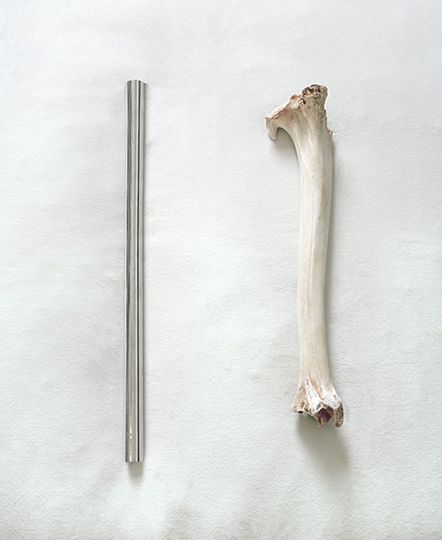 a metal tube next to a bone