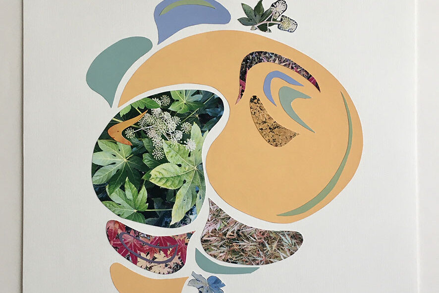 a cut out of paper