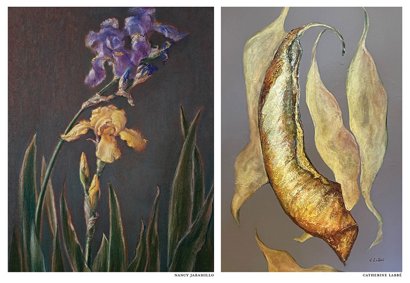 a painting of a plant and a flower