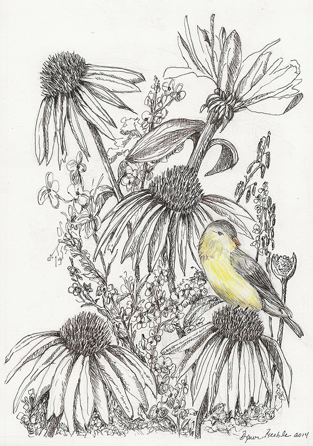 a bird on a flower
