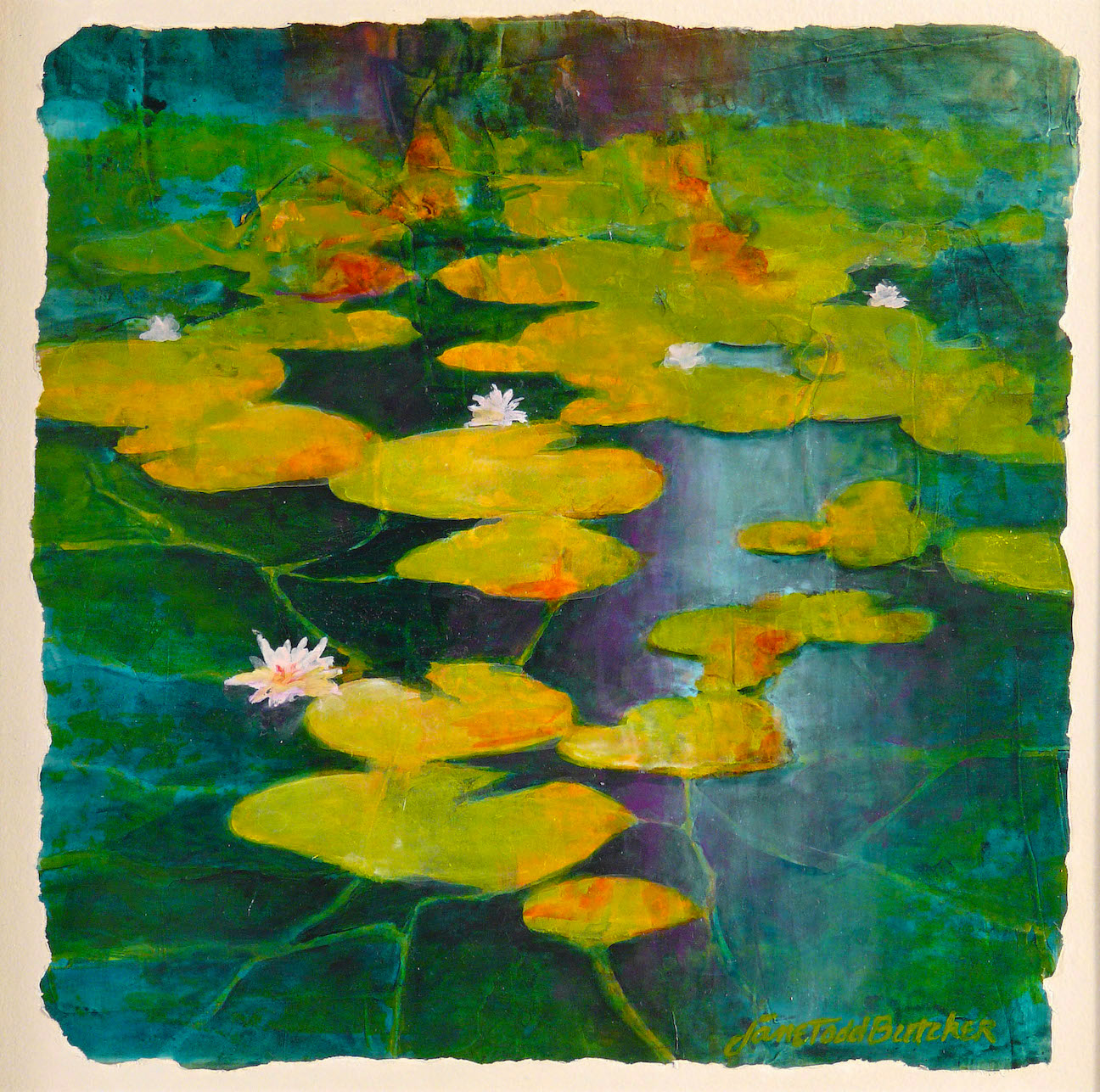 lily pads in a pond