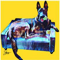 a dog lying on a couch