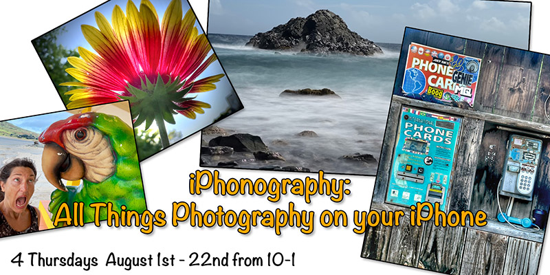 a collage of photos of a flower and a rock