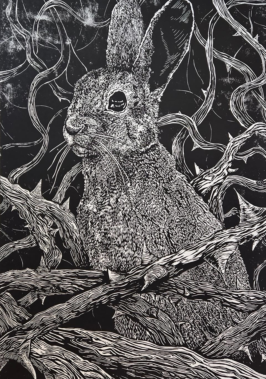 a rabbit on a branch