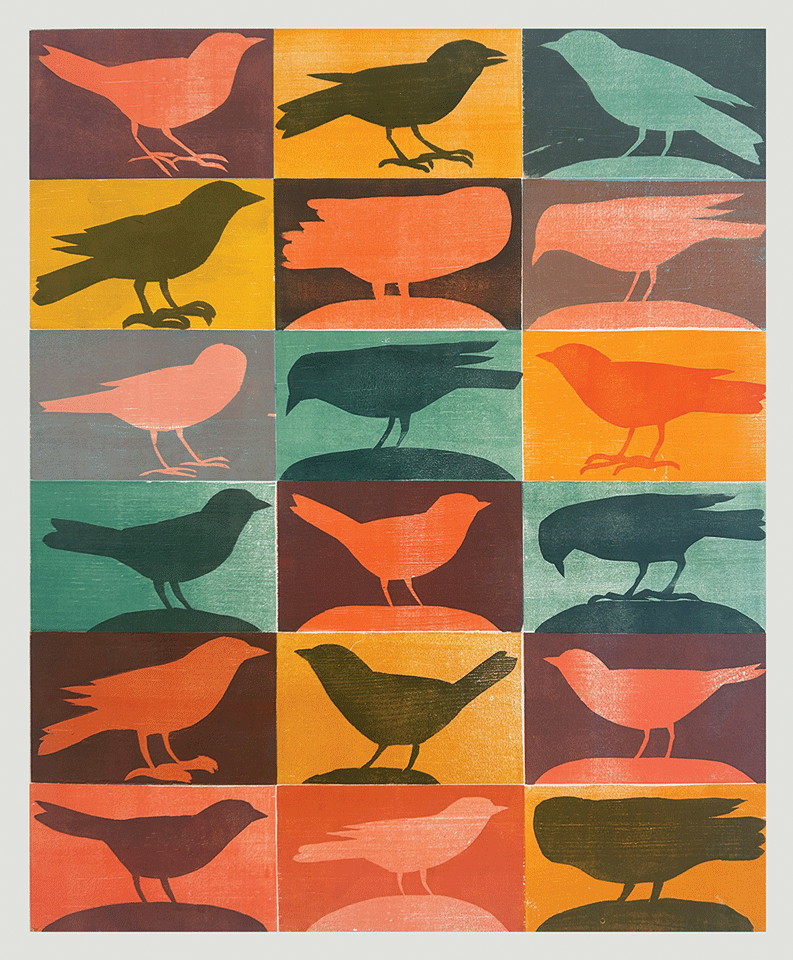 a collage of birds