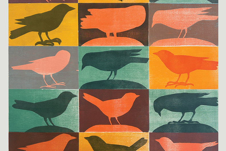 a collage of birds