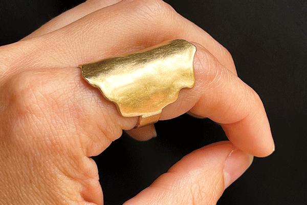 a hand with a gold ring