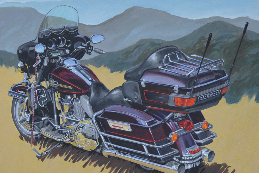 a motorcycle in a field