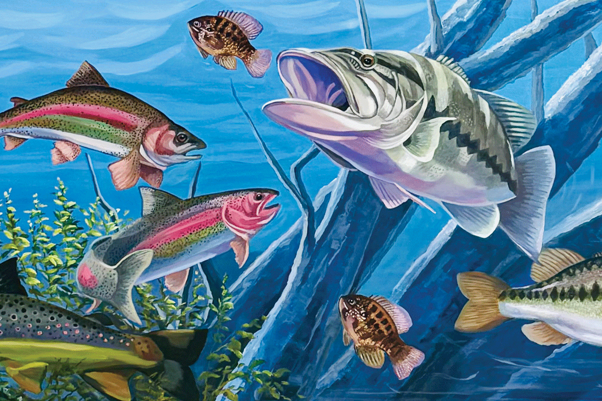a fish swimming in the water