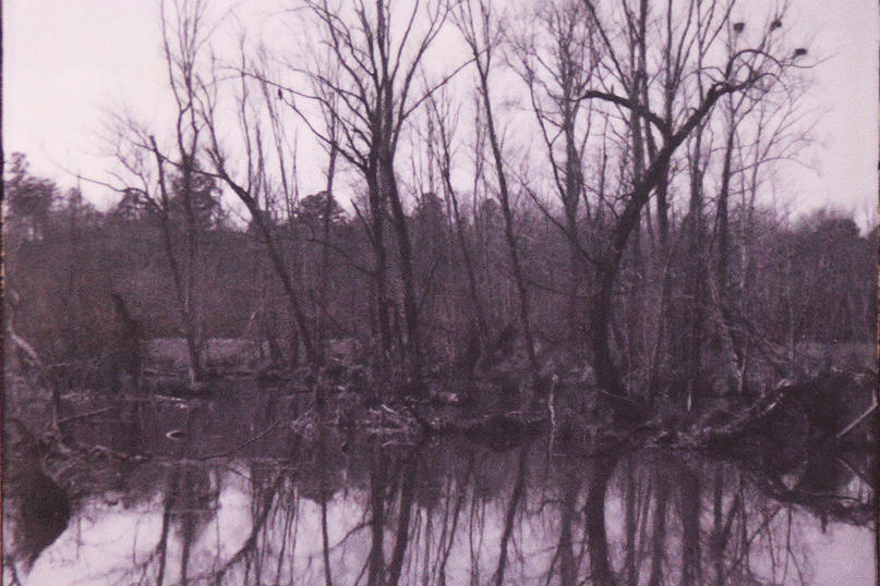 a body of water with trees in the background