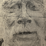 Photo of artist