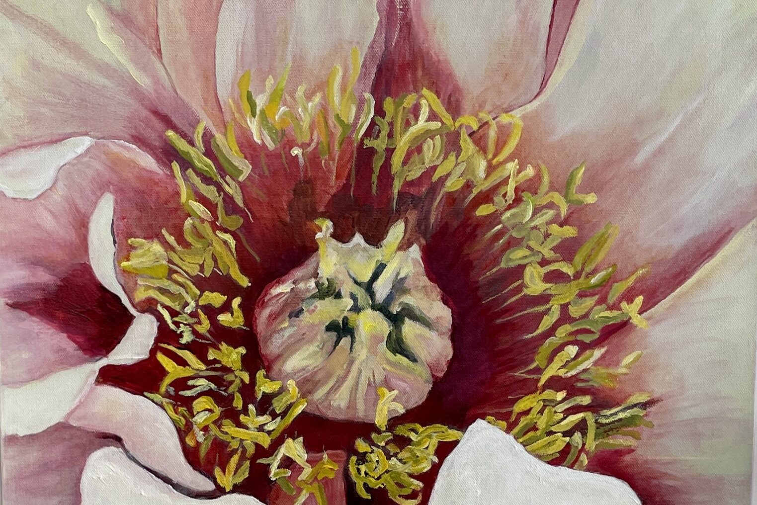 a close up of a flower