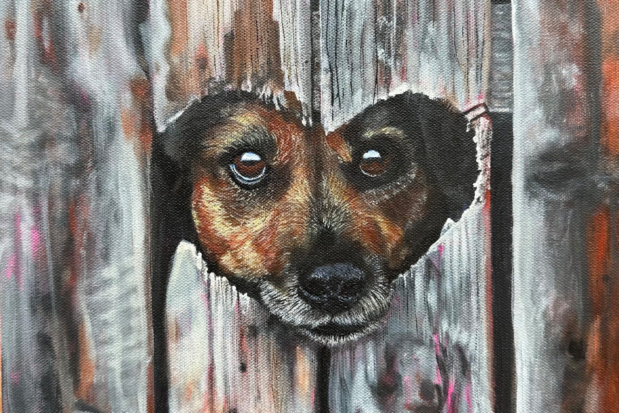 a dog's face through a hole in a wood fence