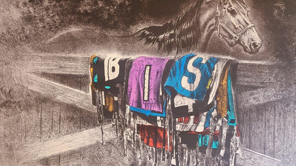 Horse and colorful jockey silks hanging