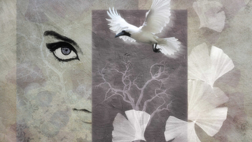 White bird with abstract background elements.