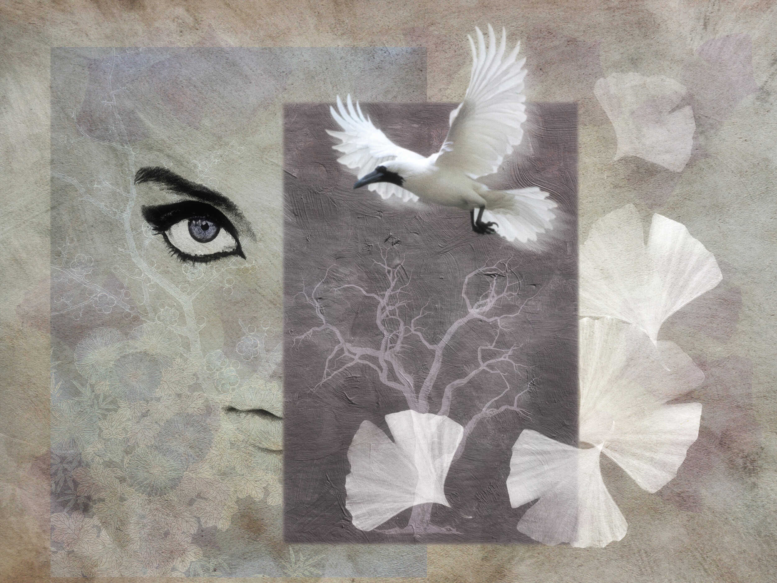 White bird with abstract background elements.