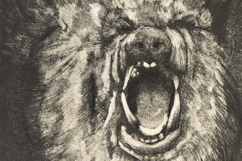 Roaring bear in dramatic artwork