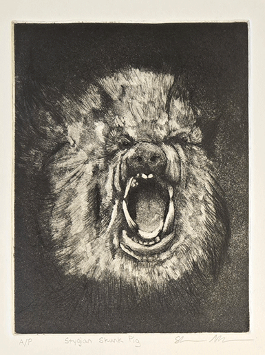 Angry skunk pig illustration in print
