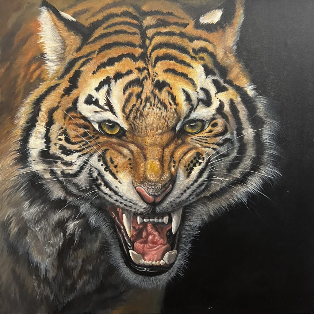Fierce tiger with bared teeth