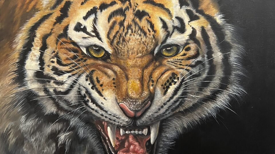 Fierce tiger with bared teeth