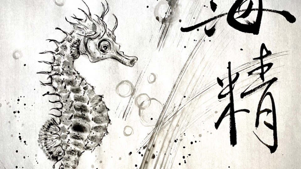 Artistic seahorse with Chinese characters