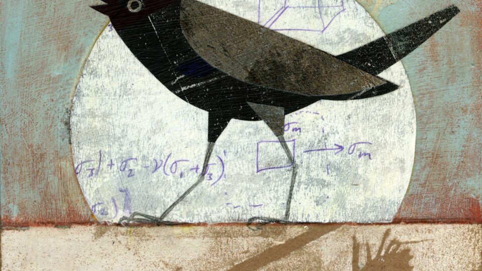 Bird illustration with artistic text
