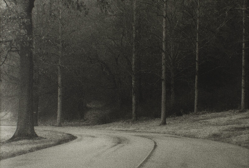 Curved road through a dark forest