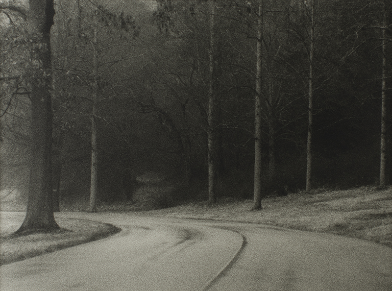 Curved road through a dark forest