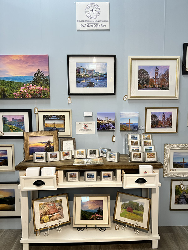 Art display featuring various framed pictures