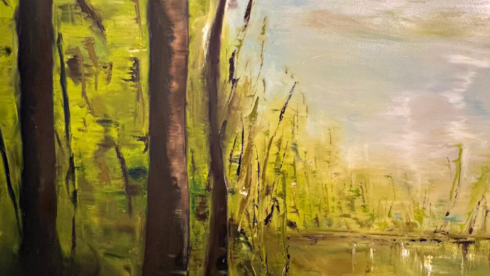 Lush forest with serene water reflection