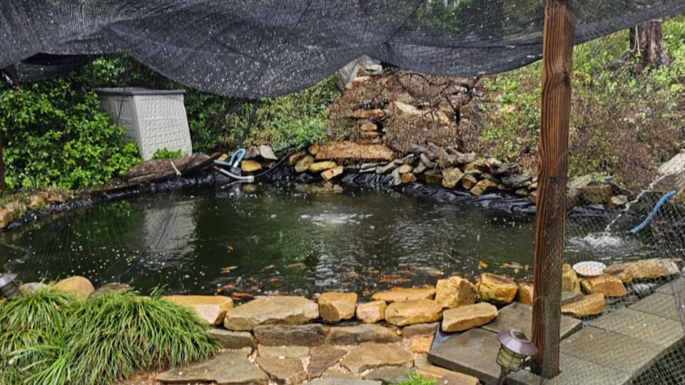 Pond surrounded by rocks and greenery