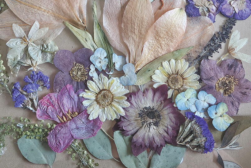 Colorful dried flowers arranged artistically