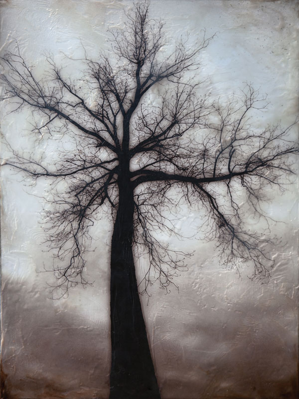 Photography with encaustic
18 x 24 inches