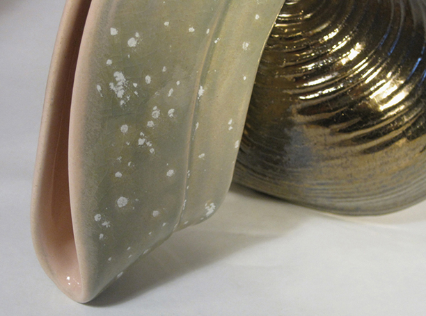 a close up of a shell